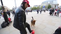 Foot freestyle : Sean Garnier affronte un chien dans les rues de Londres