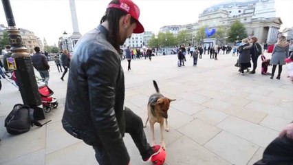 Foot freestyle : Sean Garnier affronte un chien dans les rues de Londres