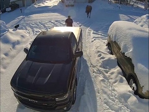 Quand tu as un voisin un peu sur les nerfs dès le matin