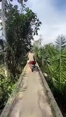 Oseriez-vous prendre ce pont vertigineux ???