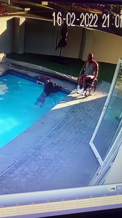 Hombre en silla de ruedas salva a su perro de ahogarse en una piscina