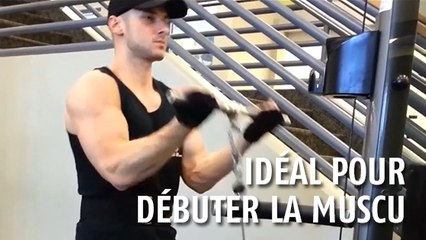 Un programme simple pour les débutants pour se muscler les bras