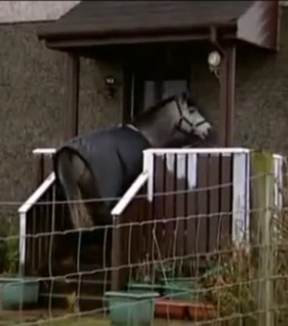 Elle vit avec son cheval dans sa maison !