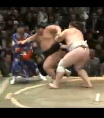 Cet arbitre est mis K.O. par deux sumos