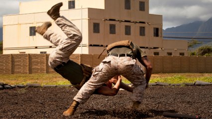 Des démonstrations de close-combat hallucinantes en Belgique