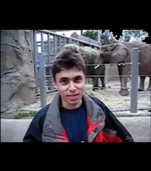 La toute première vidéo postée sur YouTube