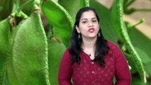 Benefits of Eating Braod Beans During Pregnancy (in Hindi) | प्रेगनेंसी में सेम फली खाने से क्या होता है