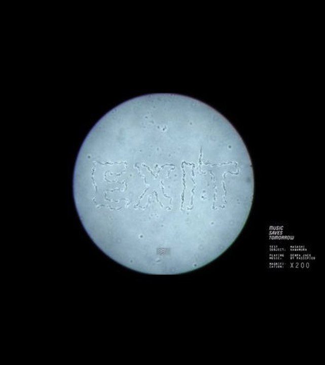 Un logiciel permet de faire danser les spermatozoïdes