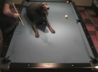 Il réalise de magnifiques figures au billard