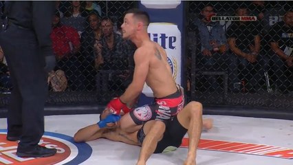 Le plus beau geste de fair-play sur un ring de l'histoire du MMA