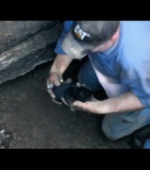 Des sauveteurs s'activent pour secourir un chiot coincé pendant 12 heures