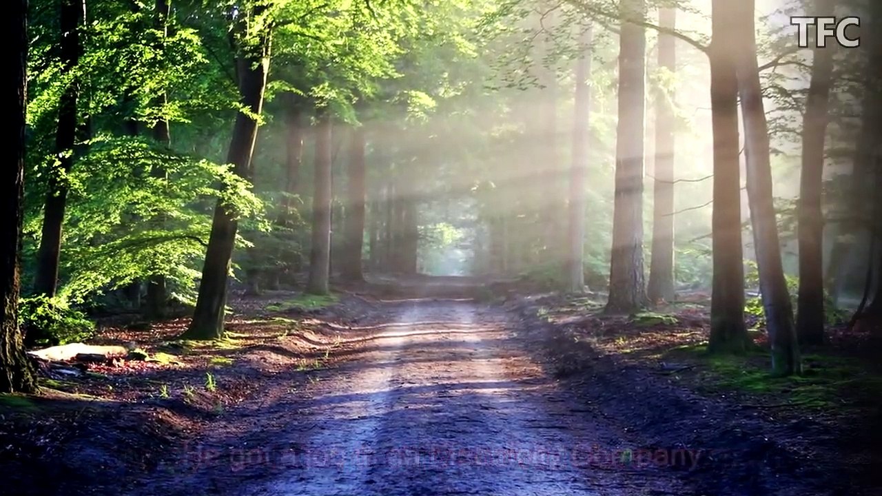 Really Inspiring & Best Motivational Video Story Ever in English by TFC _ BELIEVE IN YOURSELF