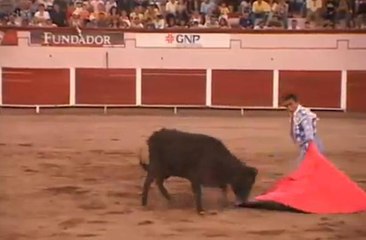 Des nains qui font de la corrida !