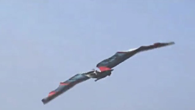 Cet homme est-il réellement parvenu à prendre son envol comme un oiseau?