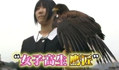 Japon: Pour faire fuire les corbeaux, une étudiante et son faucon ont été engagés
