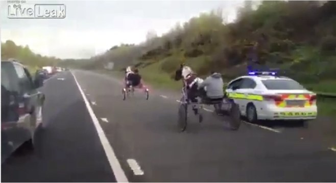 Une course-poursuite entre la police et des chevaux sur une route