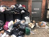 Rat problems as Leeds residents' bins left unemptied for weeks