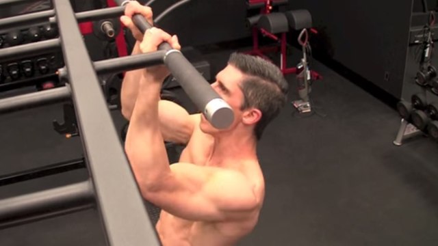 Muscler efficacement ses avant-bras, une zone primordiale pour un bon équilibre corporel