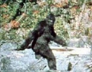 Des élèves auraient filmé le Bigfoot pendant une sortie scolaire
