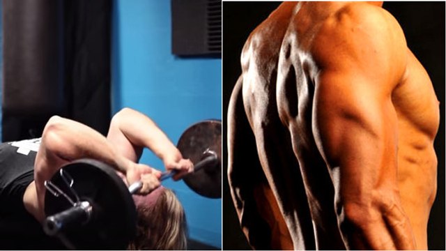 Les 5 meilleurs exercices pour se muscler les triceps