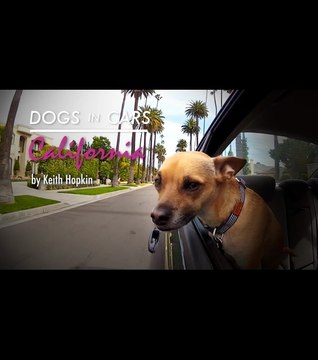 Quand les chiens roulent poils au vent en Californie!