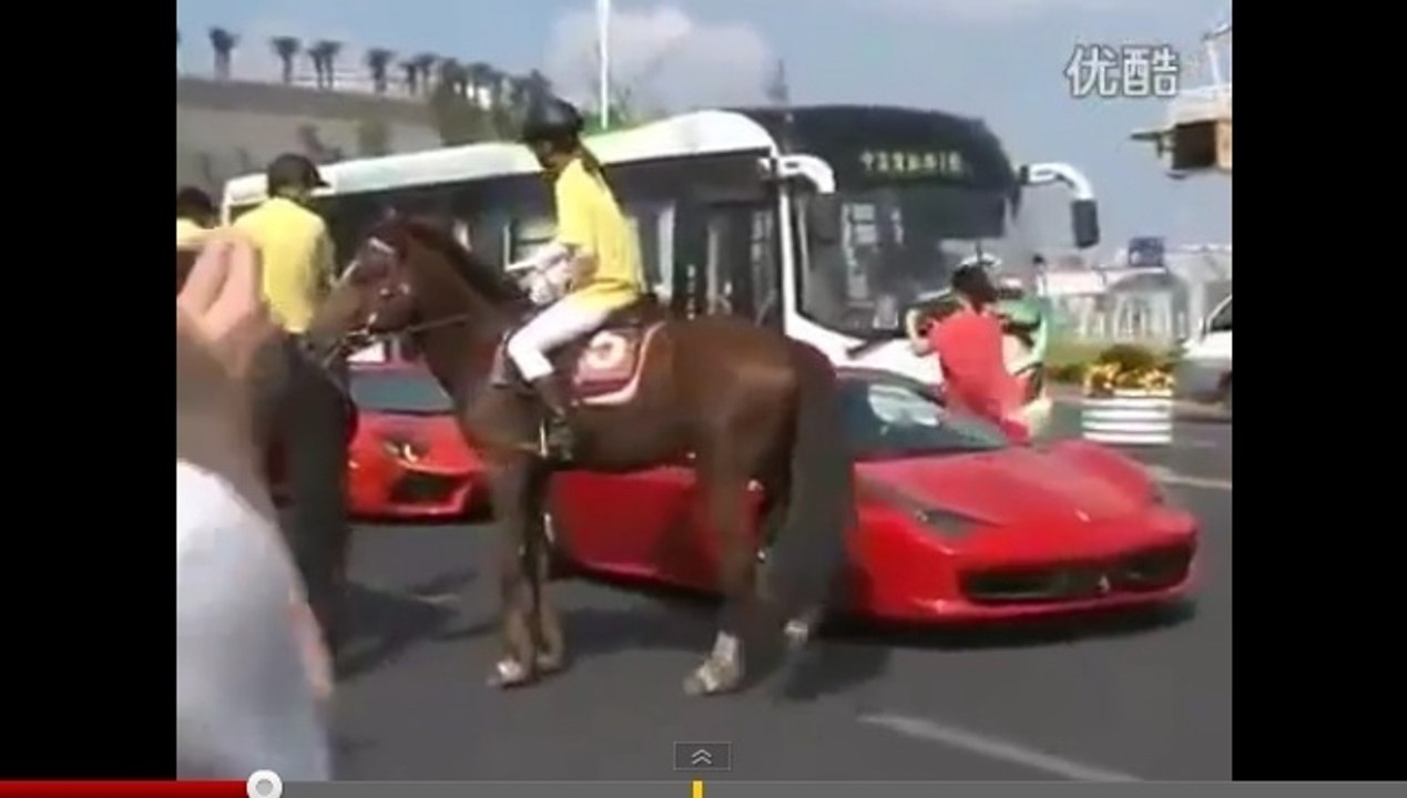 Ce cheval n'aime pas les Ferrari...