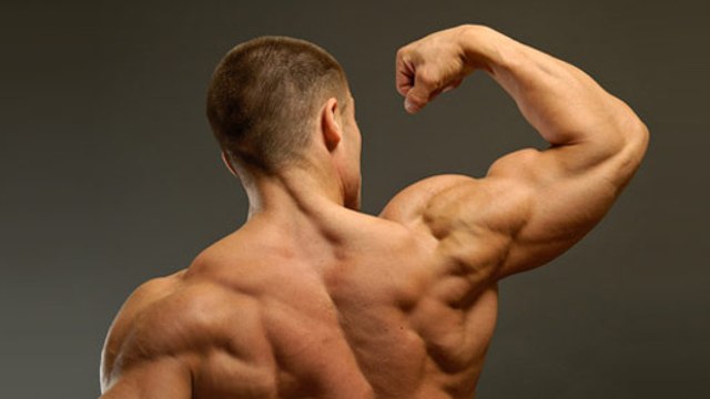 Exercice musculation triceps / épaules : Comment faire des pompes larges parfaites en vidéo