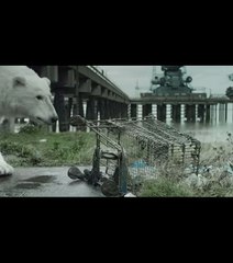 Un ours polaire erre dans les rue de Londres