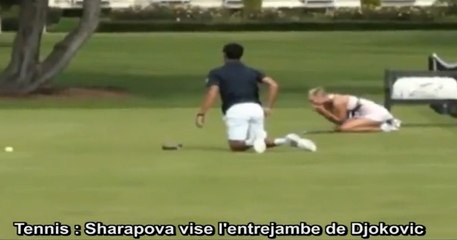 Zapping du web : Sharapova envoie une balle de tennis dans l'entrejambe de Djokovic