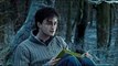 Stasera 3 marzo su Italia1 l'ultimo film della saga di Harry Potter: trattasi della 2^ parte de "I d
