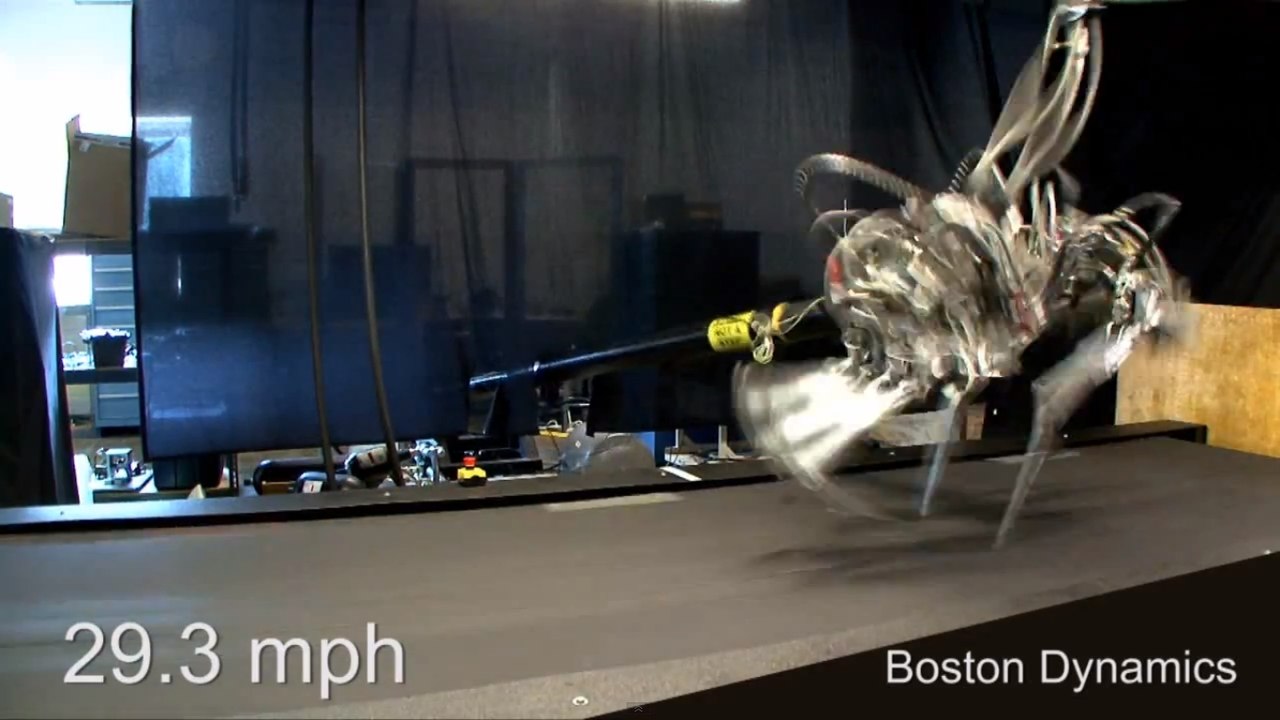 Plus rapide qu'Usain Bolt, voici Cheetah