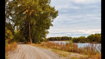 I Am A Pilgram Dr. Robert Ownby