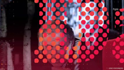 Michel Drucker : Avec Laurent Delahousse, c'est la guerre !