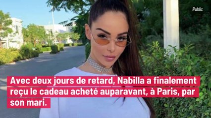 Nabilla en guerre contre l'association PETA ? Son sac en peau de crocodile fait polémique !