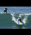 Ces chiens veulent rentrer dans le Guinness Book en surfant !