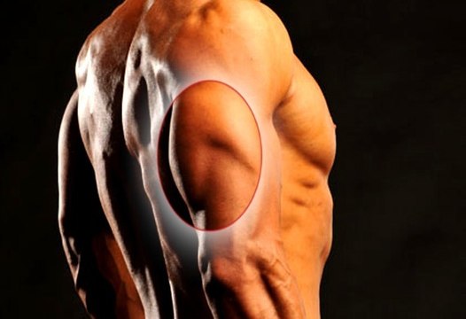 Triceps : les meilleurs exercices qu'on oublie de faire trop souvent