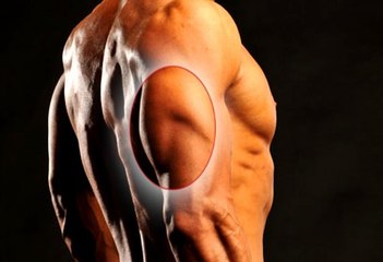 Triceps : les meilleurs exercices qu'on oublie de faire trop souvent