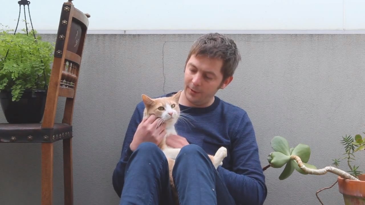 Il construit un palace en carton pour son chat malade