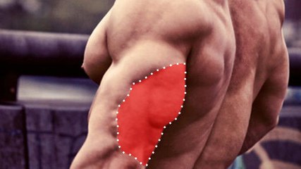 Exercice musculation triceps : Comment faire des dips pieds surélevés parfaits en vidéo
