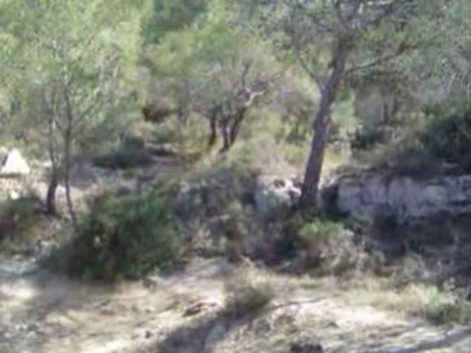 GAP DE LA ZIGZAG