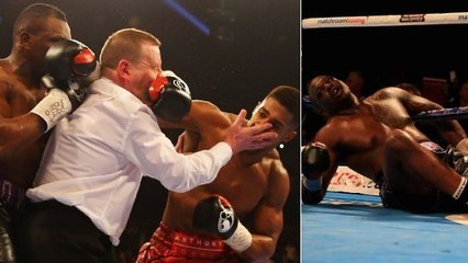 Boxe : Anthony Joshua démolit Dillian Whyte... et l'arbitre