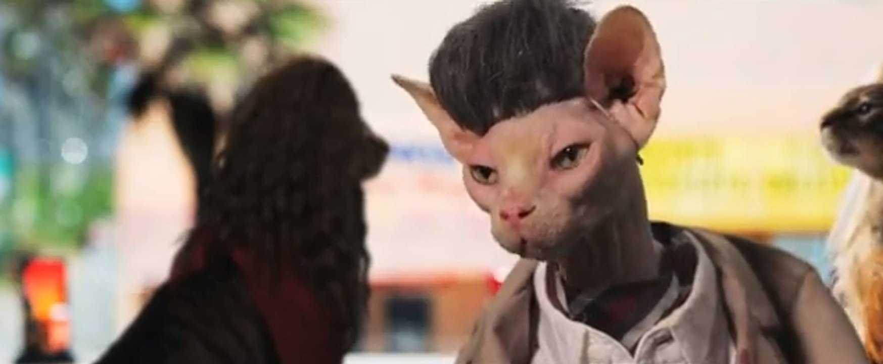 Seven PsychoCATS, la parodie de Seven Psychopaths avec des chats