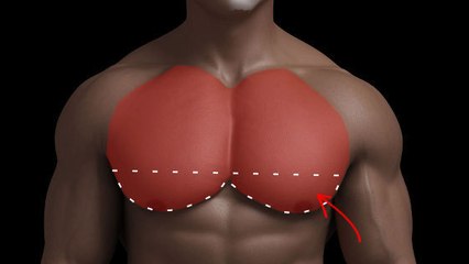 Une astuce super efficace pour prendre du volume au niveau des pecs