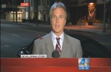 Regardez ce cafard se promener sur l'épaule de ce journaliste en direct