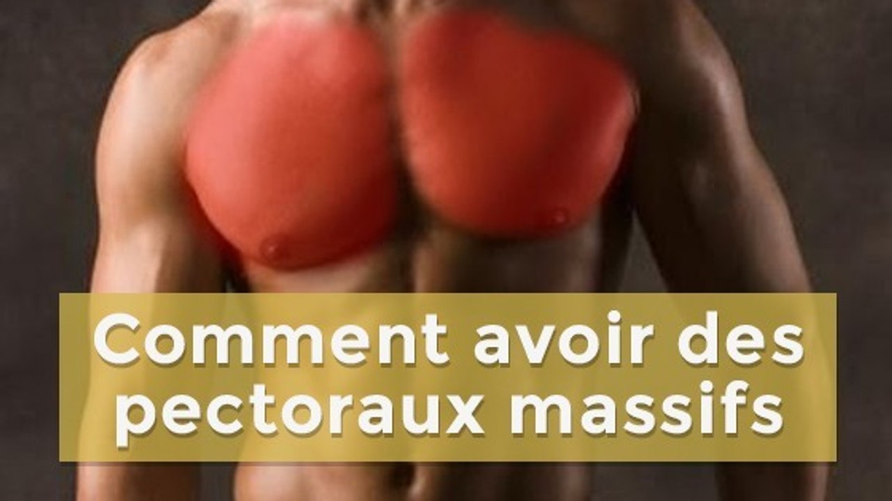Programme musculation : comment muscler rapidement vos pectoraux