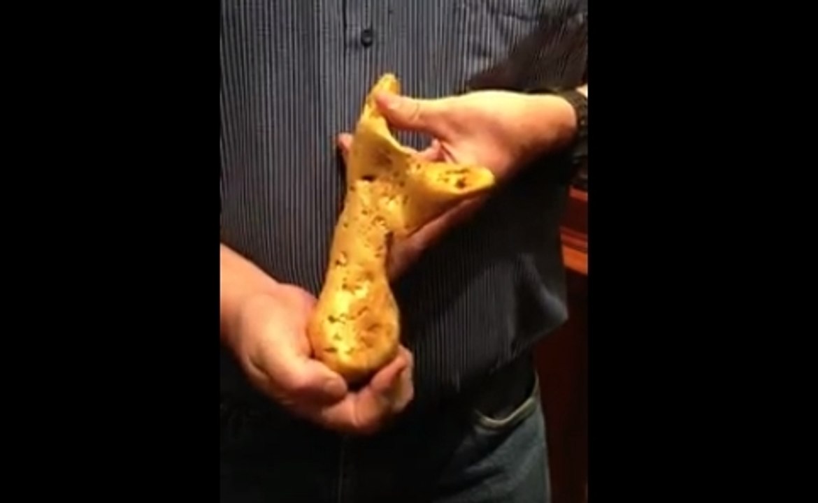 Il trouve une pépite d'or de 5 kilos à grâce à un détecteur de métaux
