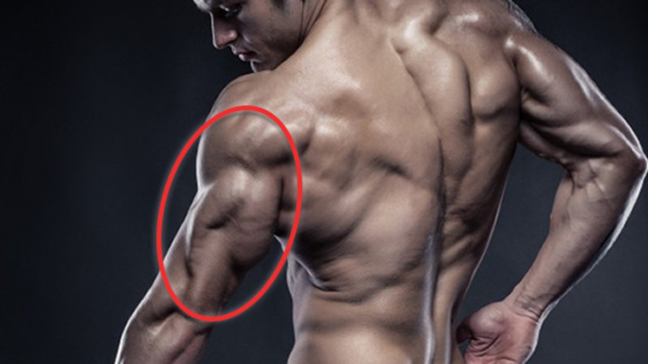 Un super exercice pour se tailler des bras de machine avec deux serviettes