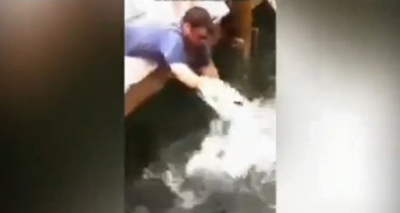 Regardez cet homme se faire gober le bras par un énorme poisson