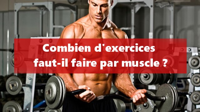 Combien faut-il faire d'exercices par muscle lors de votre entraînement ?