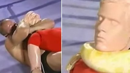 Fedor Emelianenko est-il capable d'étrangler plus fort qu'un python ?